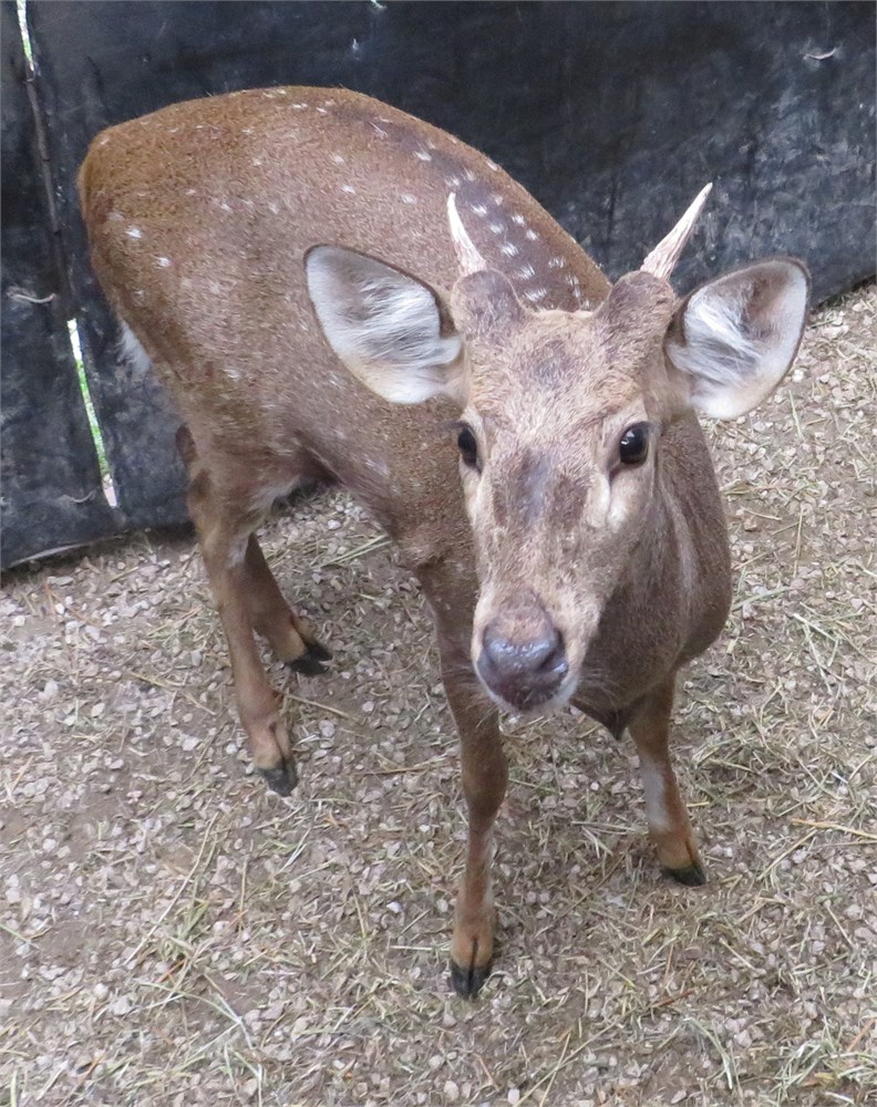 ffe5be8c-df13-4d97-bcde-